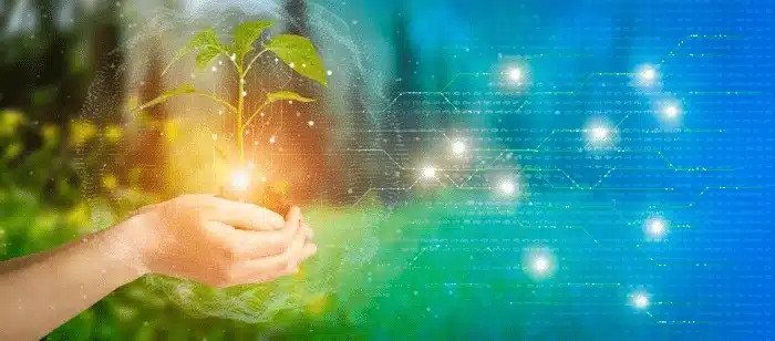 Hand holding green plant with digital network connections representing sustainable supply chain technology