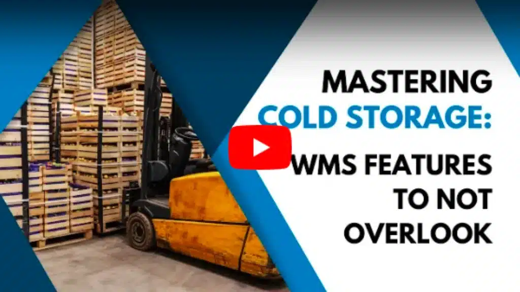 Choosing a Warehouse Management System for Your Cold Storage Warehouse 2 - cold storage warehouse