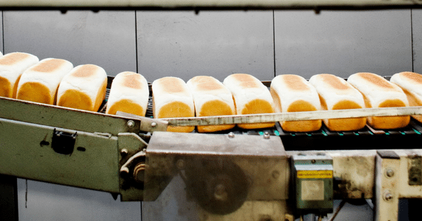 loafs of bread on conveyor